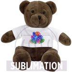 Plush teddy bear  Siddy Brown