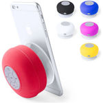 Speaker Rariax