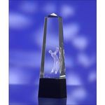 Tall Tower Award