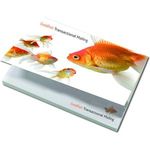 105x75mm Cardcover NoteStix  - Sticky Note/Adhesive Pad