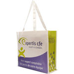 Large Non-Woven Shopping Bag