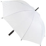 Typhoon umbrella
