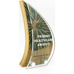 Extra Large Real Wood Block Awards with Acrylic Face Plate - Simple Shapes