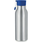 Aluminium 500 Ml Bottle