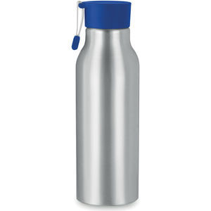Aluminium 500 Ml Bottle